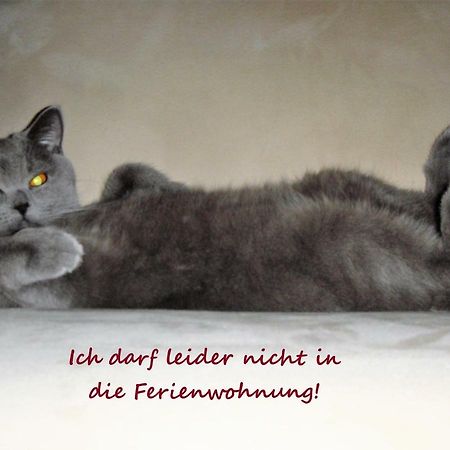 Apartment Zeitreise Quedlinburg Bagian luar foto